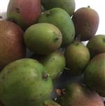 kiwi berries